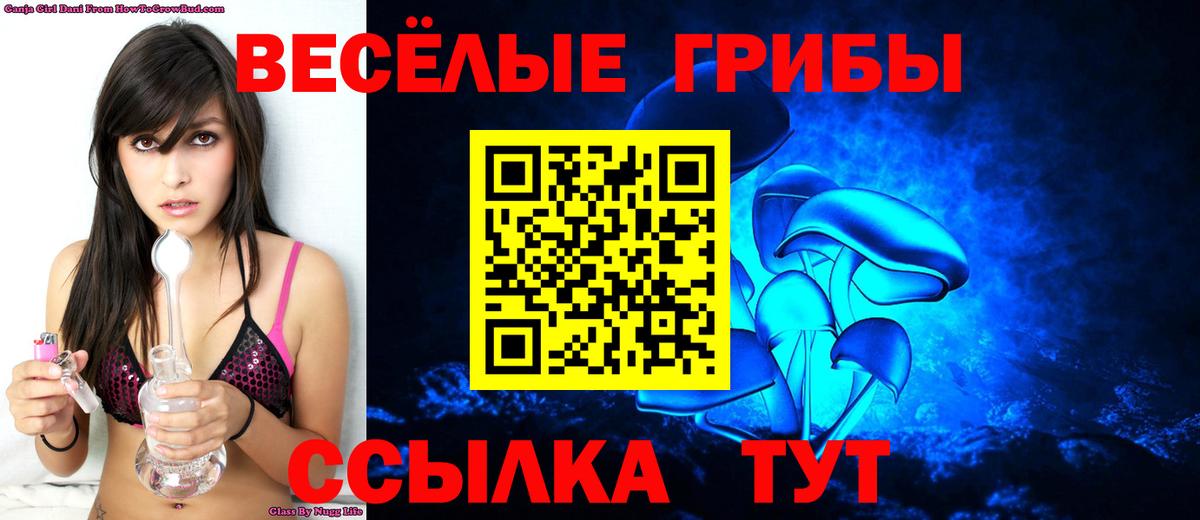 Псилоцибиновые грибы прущие грибы Бийск